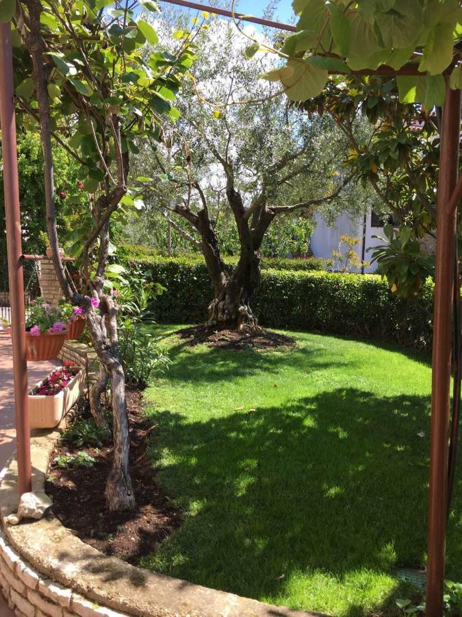 Apartman Alberta Poreč Dış mekan fotoğraf