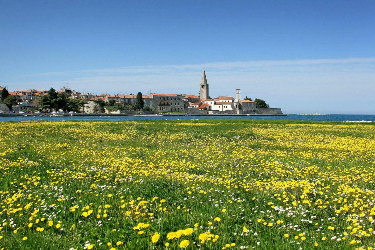 Apartman Alberta Poreč Dış mekan fotoğraf